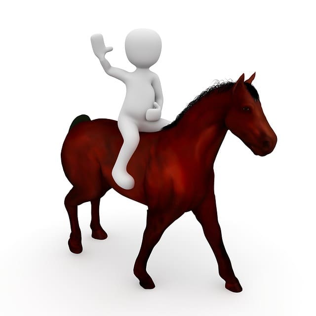 horse riding 1015648 640