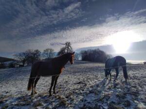 Dolles Dorf Ober Beerbach (UPDATE 4)