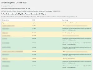 wp_options mit einer KI aufräumen